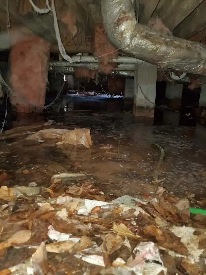 Crawl space flood assessment for Commercial Water Damage Restoration in Winter Gardens