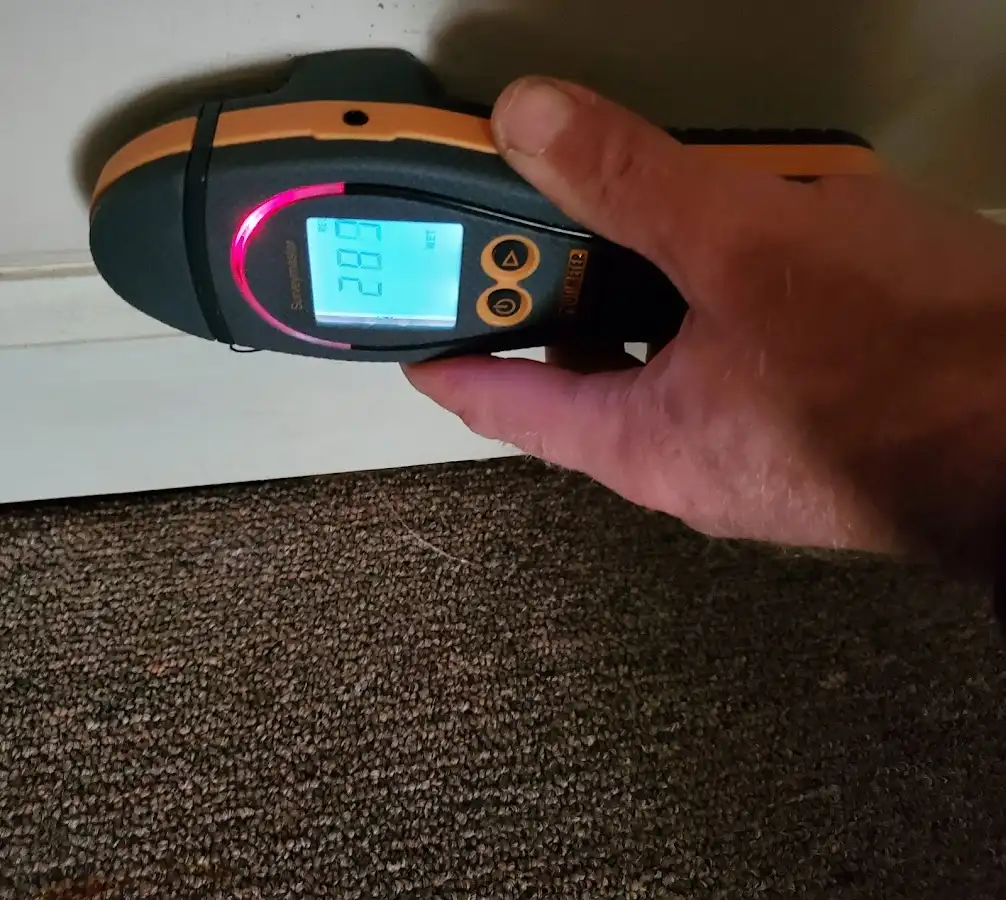 Moisture detection at baseboard during Storm Damage Restoration in Winter Gardens