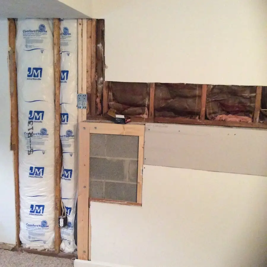 Wall insulation replacement during Basement Flood Cleanup in Winter Gardens